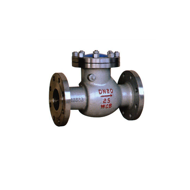 Swing Check Valve